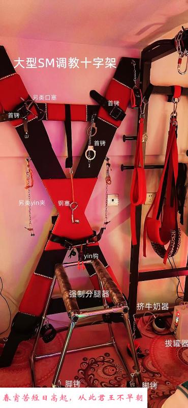 杭州金文静m 第1张